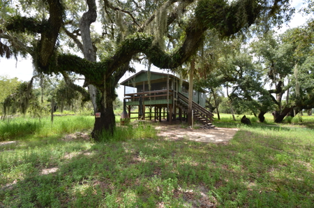 Beautiful secluded Creekside Stilt Cabin in Arcadia, Florida! - image 17