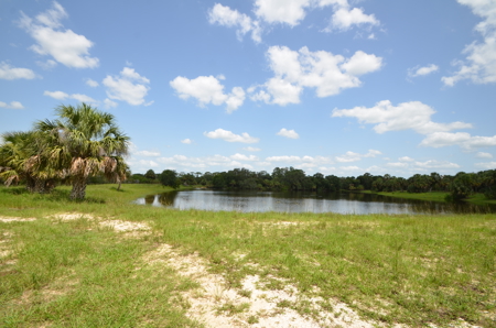 Beautiful secluded Creekside Stilt Cabin in Arcadia, Florida! - image 29