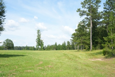 10 Acres Pastureland for Sale Walthall County MS - image 18