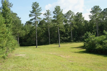 10 Acres Pastureland for Sale Walthall County MS - image 7