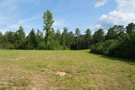 10 Acres Pastureland for Sale Walthall County MS - image 12