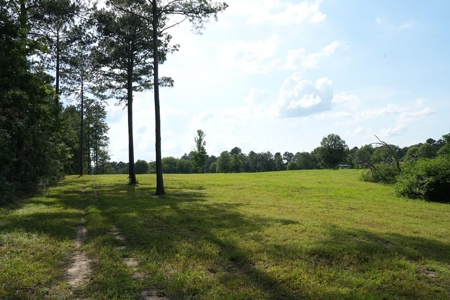 10 Acres Pastureland for Sale Walthall County MS - image 5
