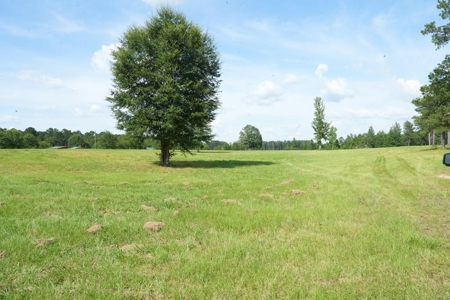 10 Acres Pastureland for Sale Walthall County MS - image 1