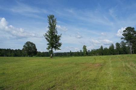 10 Acres Pastureland for Sale Walthall County MS - image 15