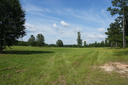 10 Acres Pastureland for Sale Walthall County MS - image 16