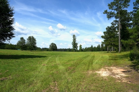 10 Acres Pastureland for Sale Walthall County MS - image 17