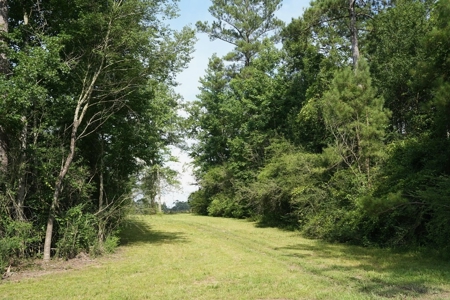 10 Acres Pastureland for Sale Walthall County MS - image 6