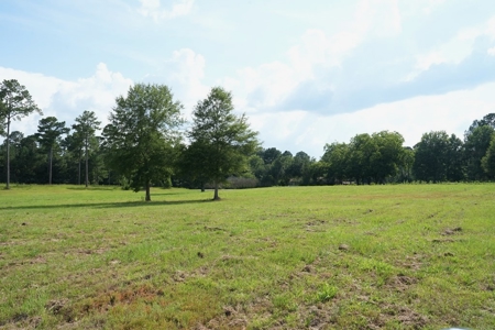 10 Acres Pastureland for Sale Walthall County MS - image 13