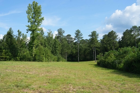 10 Acres Pastureland for Sale Walthall County MS - image 11
