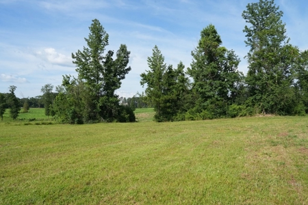10 Acres Pastureland for Sale Walthall County MS - image 10