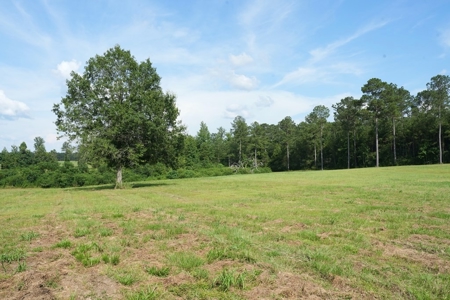 10 Acres Pastureland for Sale Walthall County MS - image 14