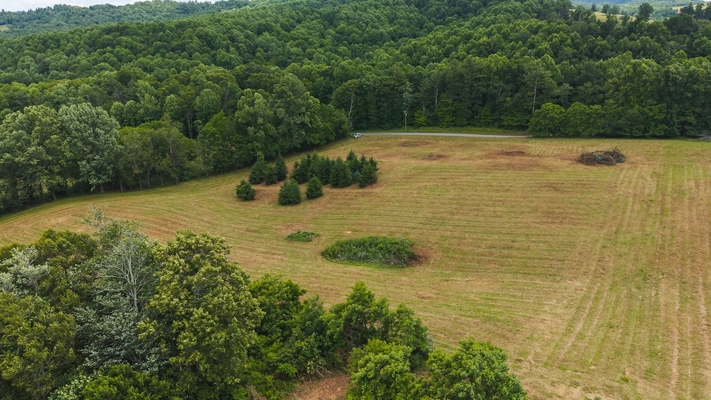 Buildable Land for Sale in Willis VA