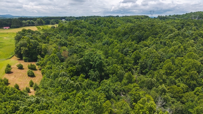 Buildable Land for Sale in Willis VA
