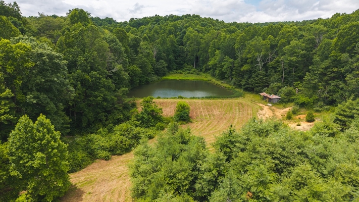 Buildable Land for Sale in Willis VA