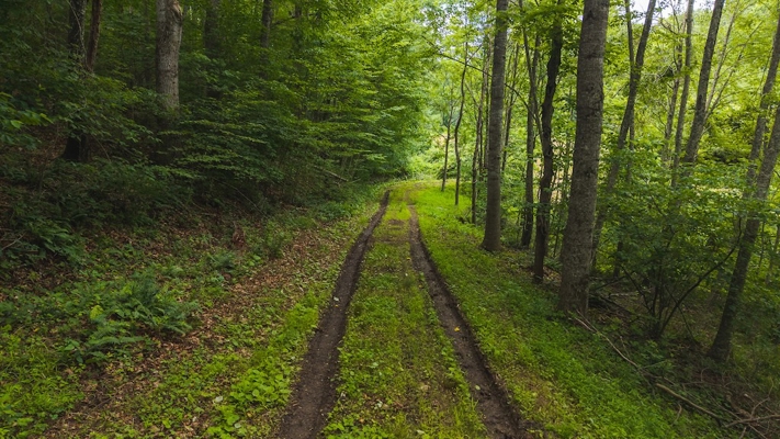 Buildable Land for Sale in Willis VA