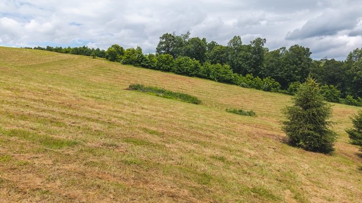 Buildable Land for Sale in Willis VA