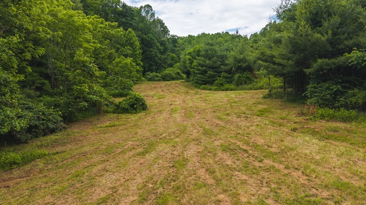 Buildable Land for Sale in Willis VA
