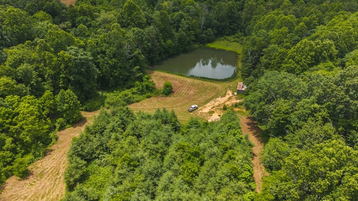 Buildable Land for Sale in Willis VA