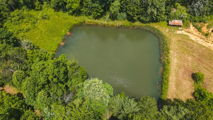 Buildable Land for Sale in Willis VA