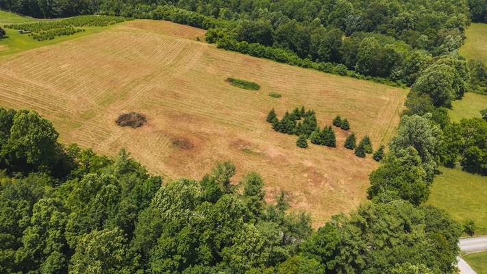 Buildable Land for Sale in Willis VA