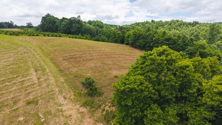 Buildable Land for Sale in Willis VA