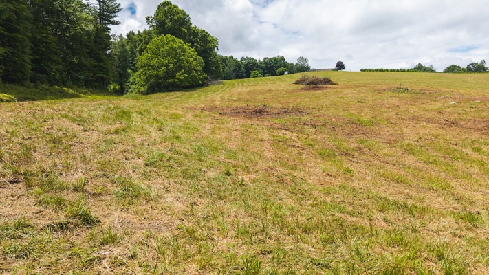 Buildable Land for Sale in Willis VA