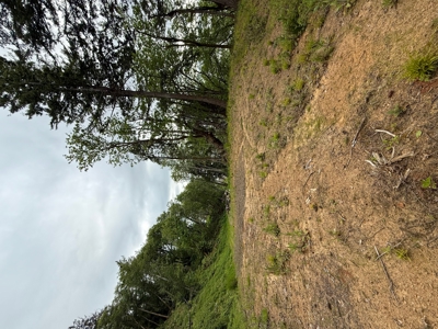 4 special lots with great views and many uses - image 3