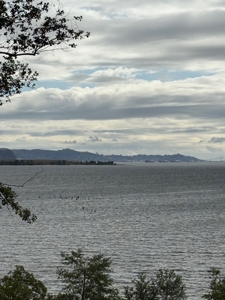 4 special lots with great views and many uses - image 5