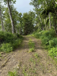 4 special lots with great views and many uses - image 6