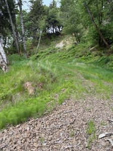 4 special lots with great views and many uses - image 1