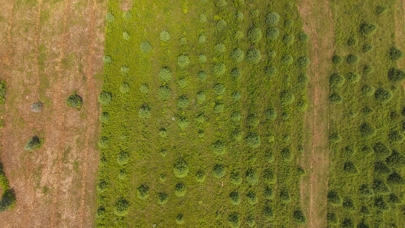 Listing 31