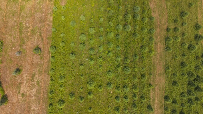 Buildable Lot for Sale in Willis VA