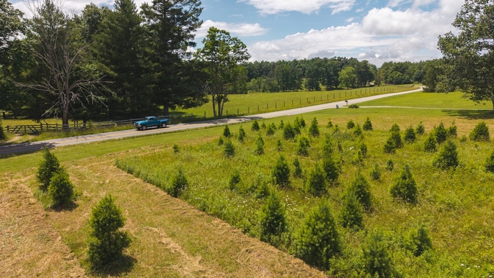 Buildable Lot for Sale in Willis VA