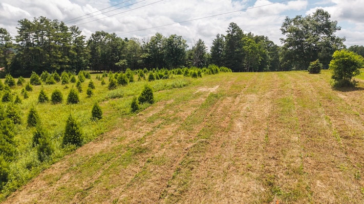 Buildable Lot for Sale in Willis VA