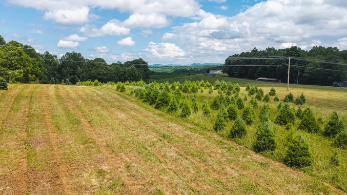 Buildable Lot for Sale in Willis VA