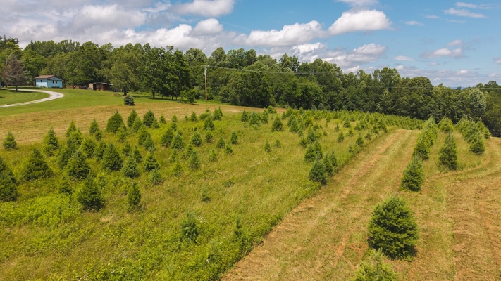 Buildable Lot for Sale in Willis VA