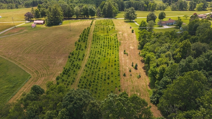 Buildable Lot for Sale in Willis VA