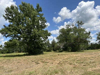 Home on 12 Beautiful Acres in Bogata TX, Red River Co, TX - image 45