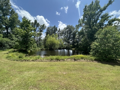 Home on 12 Beautiful Acres in Bogata TX, Red River Co, TX - image 34