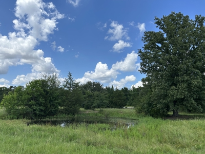 Home on 12 Beautiful Acres in Bogata TX, Red River Co, TX - image 49
