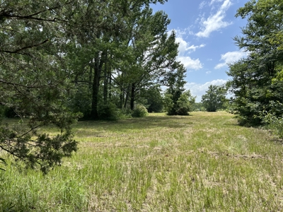 Home on 12 Beautiful Acres in Bogata TX, Red River Co, TX - image 38