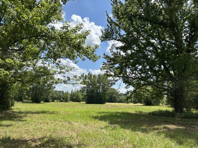 Home on 12 Beautiful Acres in Bogata TX, Red River Co, TX - image 42