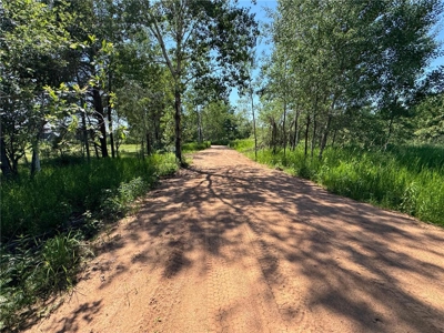 Tract of Land For Sale in Bruno MN – Great Spot to Build! - image 5