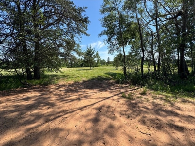 Tract of Land For Sale in Bruno MN – Great Spot to Build! - image 1
