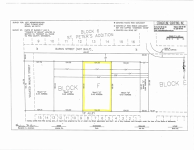 Tract of Land For Sale in Bruno MN – Great Spot to Build! - image 3