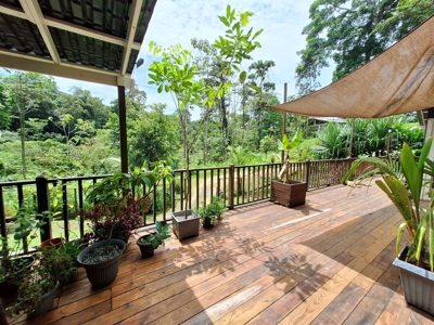 Large, Simple Off-Grid Home for Sale, Bocas del Toro, Panama - image 22