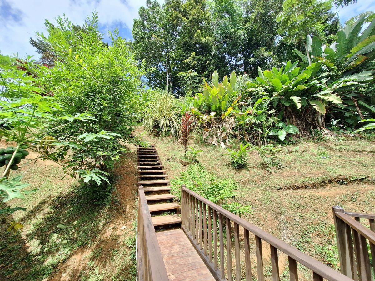 Off-Grid Eco Home, Built 2022 — Plastic Bottle Village, Isla Colón - 31
