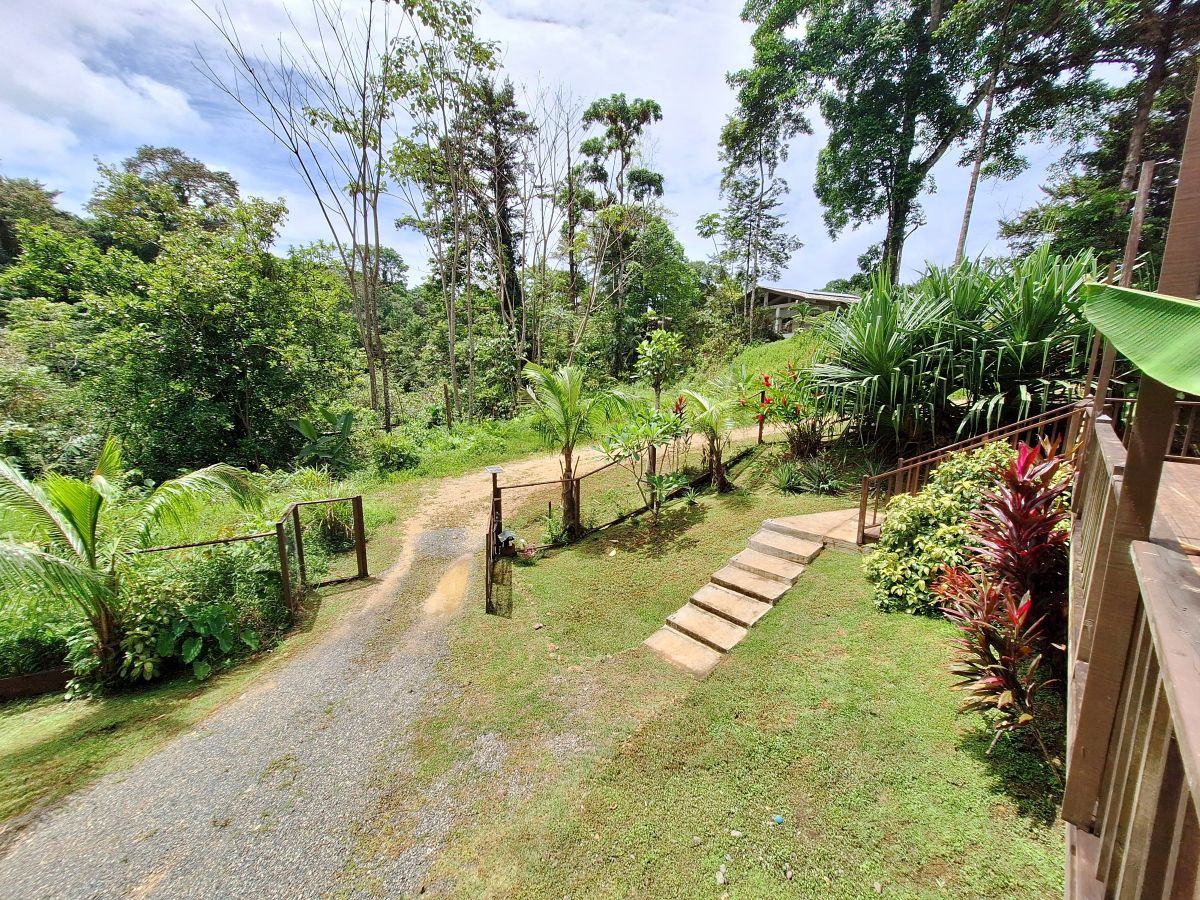 Off-Grid Eco Home, Built 2022 — Plastic Bottle Village, Isla Colón - 29
