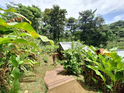 Large, Simple Off-Grid Home for Sale, Bocas del Toro, Panama - image 28