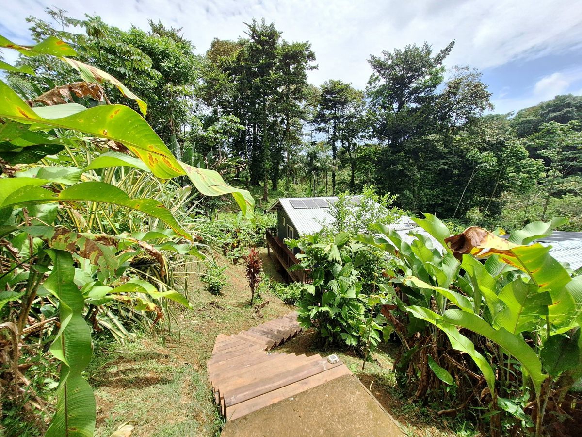 Off-Grid Eco Home, Built 2022 — Plastic Bottle Village, Isla Colón - 34